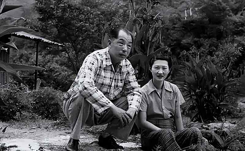  家族资产传承模型：盛宣怀遗产管理失效的深度复盘 企业服务