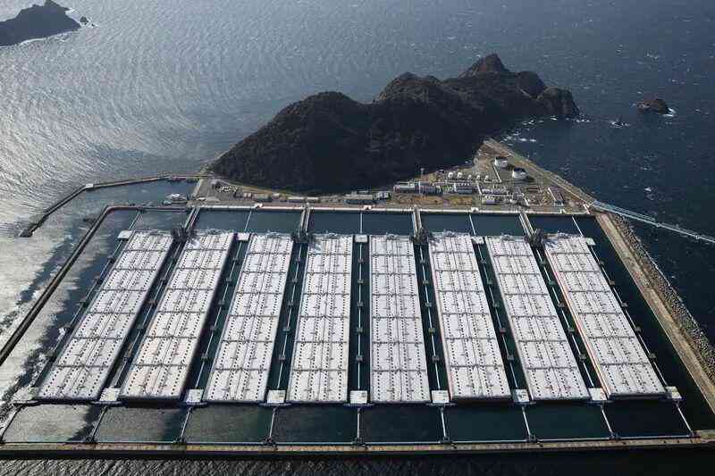  全球能源波动背景下；中国清洁能源布局显现缓冲效应；美媒视角下的战略优势分析。 新闻