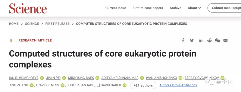  从AlphaFold到RoseTTAFold：一位生物信息学工程师亲历蛋白质结构预测革命 IT技术