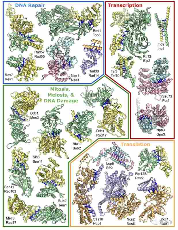  从AlphaFold到RoseTTAFold：一位生物信息学工程师亲历蛋白质结构预测革命 IT技术