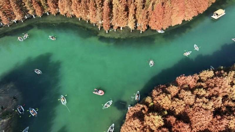  【深度】长三角一体化战略纵深推进：青浦何以成为上海高质量发展核心承载区 新闻