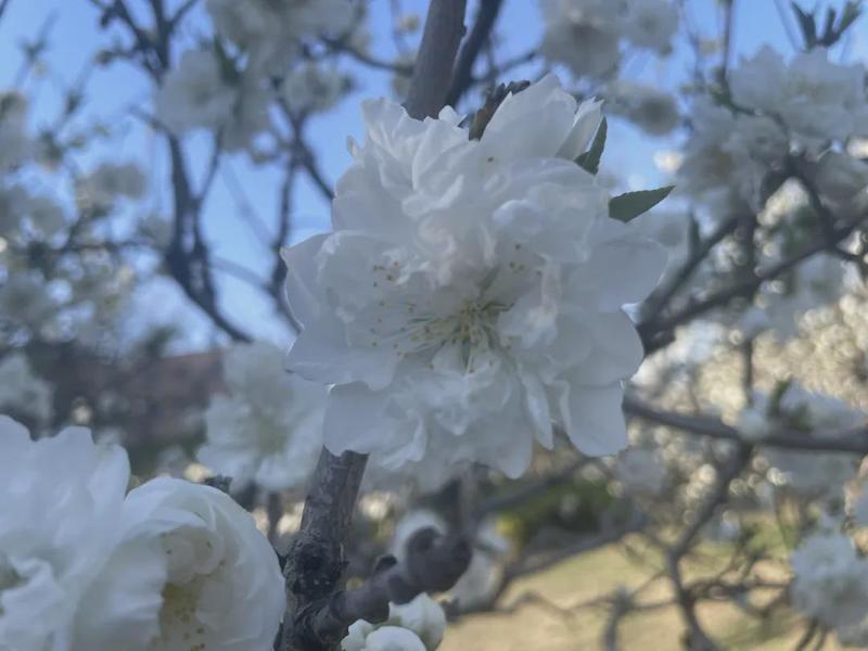  家庭情绪防火墙：为何说这四类话是孩子的“心理负担源” 情感心理