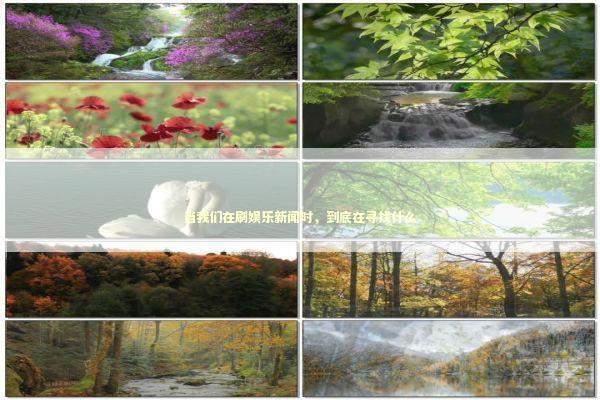 当我们在刷娱乐新闻时，到底在寻找什么 娱乐新闻