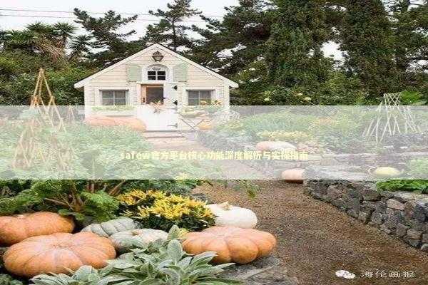 safew官方平台核心功能深度解析与实操指南 IT技术