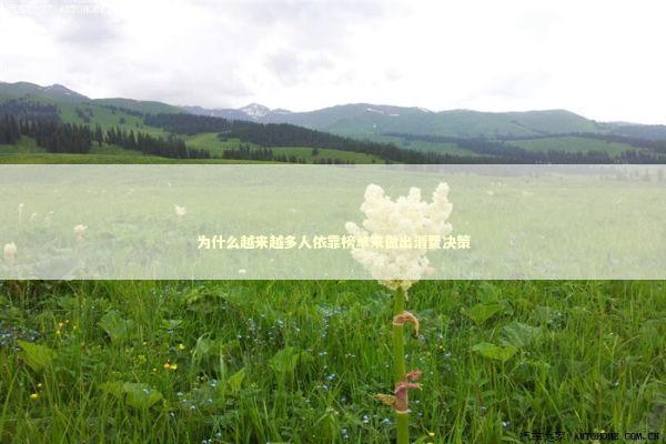 为什么越来越多人依靠榜单来做出消费决策 新闻