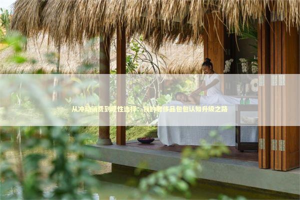 从冲动消费到理性选择：我的奢侈品包包认知升级之路 时尚用品