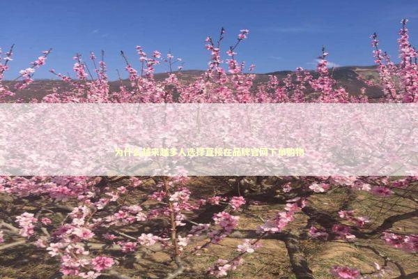 为什么越来越多人选择直接在品牌官网下单购物